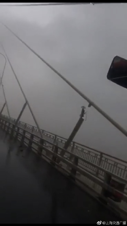 突发！苏通大桥一根斜拉索受台风影响断裂