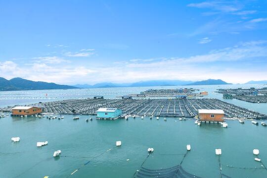 趣养鱼荣获全国养殖行业十大名优品牌 品牌效