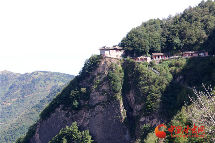 陇南西和大香山:人工造林筑生态屏障