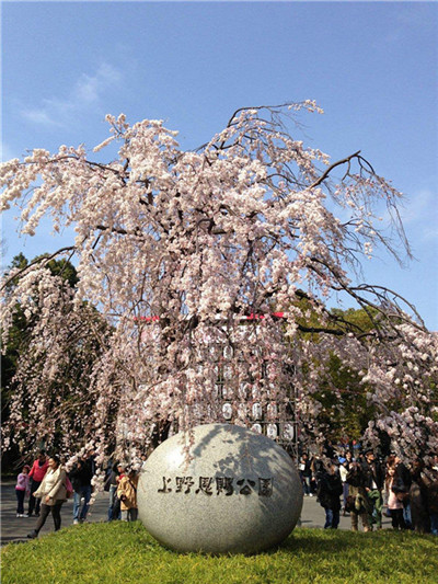 东京上野公园_日本东京上野公园