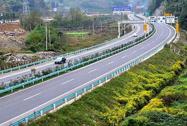 男子开车赶时间又怕被拍到 用塑料贴纸遮挡号