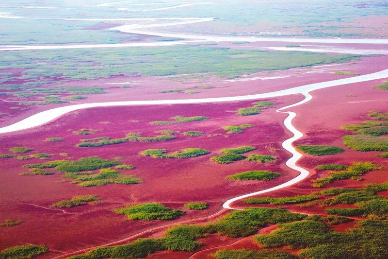 山东东营以新旧动能转换推动资源型城市转型