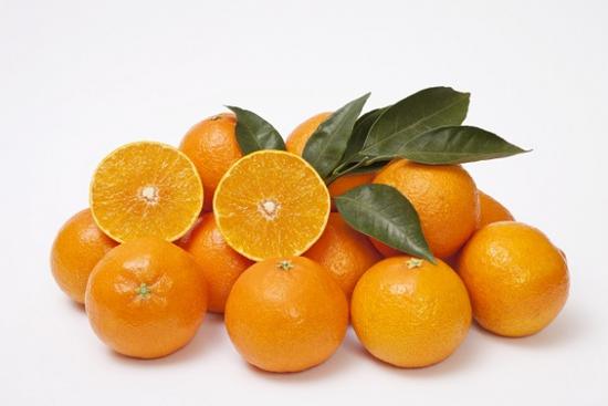 韩国送的200吨橘子该怎么分？金正恩下达这一指示