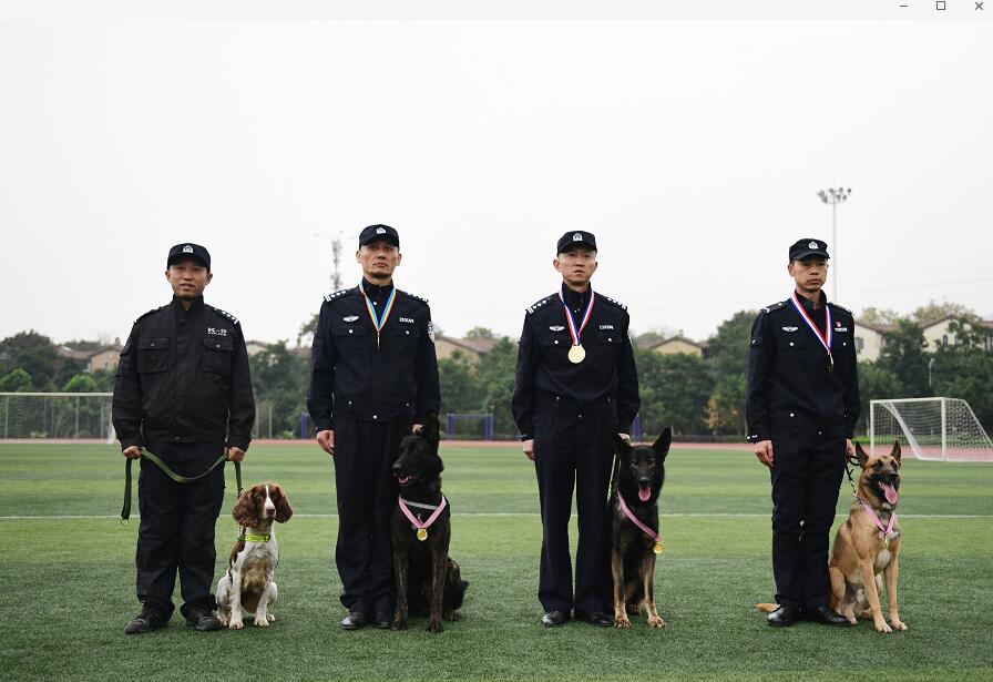 全国警犬技术大赛夺冠获奖重庆刑警载誉归来