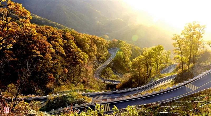 金寨中国红岭公路抖音挑战赛 自驾旅行去"撒野!
