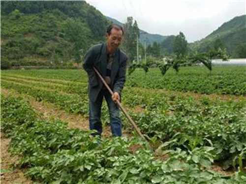 讲述单手励志哥肖青成的故事