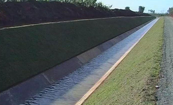 临高的GDP_海南临高女生打架扒衣