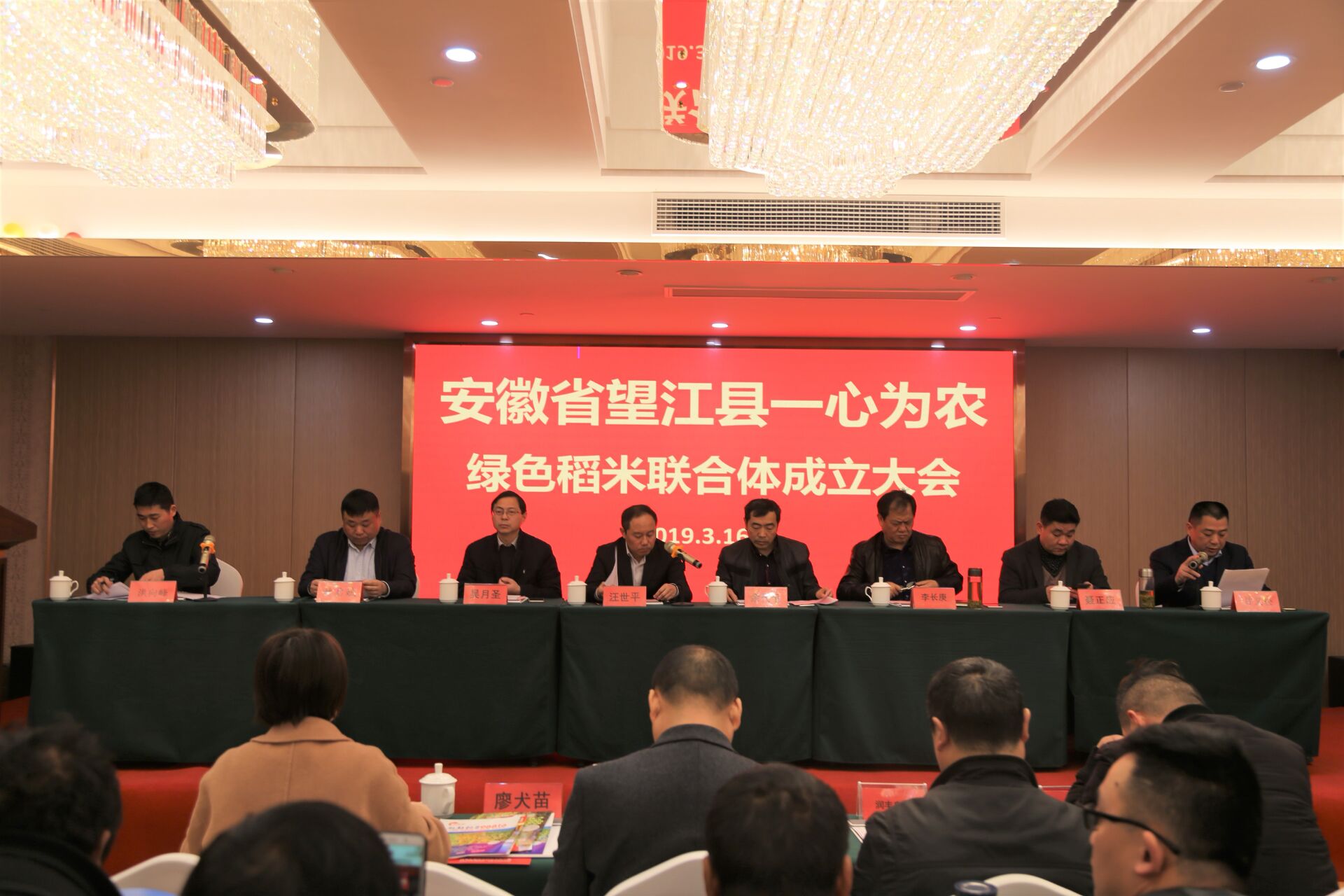 望江一心为农绿色稻米联合体成立