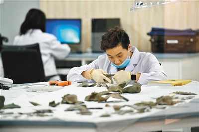 教育部规划曝光！这些冷门专业即将扩招提前布局就是赢家