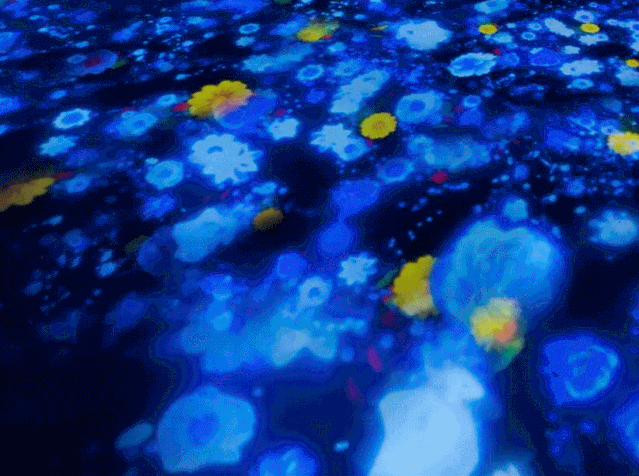 03 人鱼公主梦幻演绎海洋之心,隔空传吻 开启浪漫之旅 04 白鲸公主