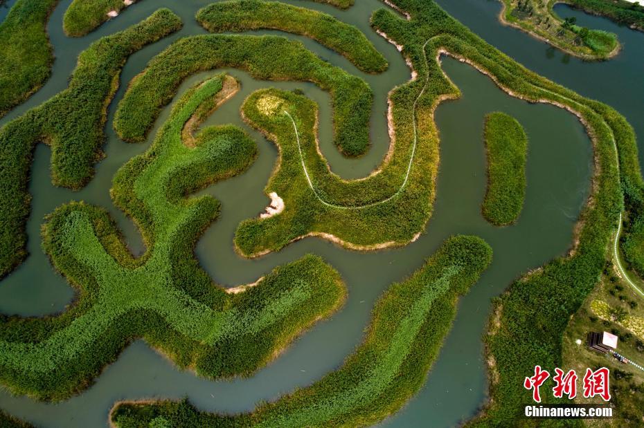 白马湖国家湿地公园美景初现