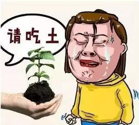吃土少年们,"双11"又来啦