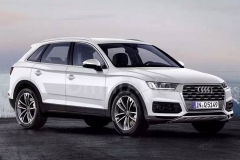 巴黎车最重磅车型 进入国内立马爆款！