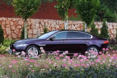 有料又贤惠的行政伴侣 试驾捷豹XFL