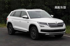 柯迪亚克动力信息曝光 提供4种动力选择