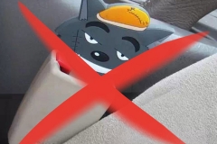 有安全气囊的车，是不是不用系安全带？