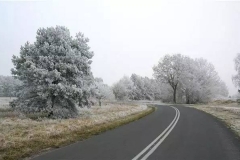 冬季学会这些技巧，可以减少99%的事故！