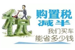 购置税减半延期？汽车政策干货都在这