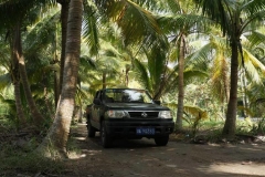 耐用，多能，什么车符合这个条件呢？