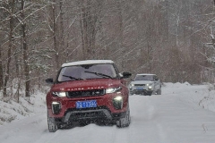 穿越林海雪原 新款揽胜极光冰雪体验