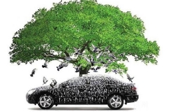 车不能停在树底下，停过的都悲剧了