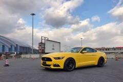 聊天时你必须要知道的五辆Mustang