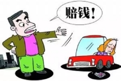 别浪！碰瓷狗最喜欢找这些人下手！