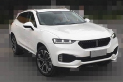 长城高端SUV配置 双液晶屏/全景天窗