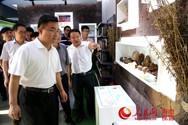 倪强一行参观考察石山互联网农业小镇