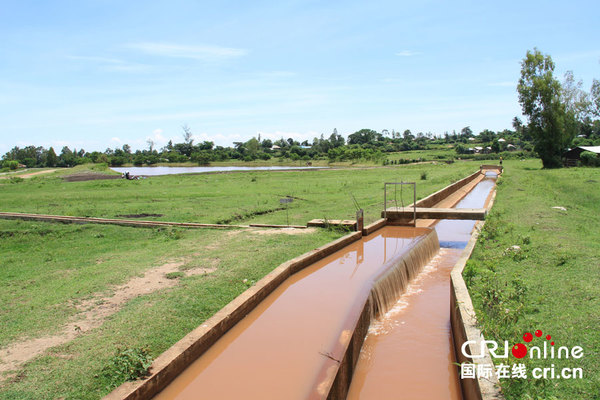 中国水电建设的基米拉和欧鲁赤灌溉项目让当地旱季再也不受无水之苦。 （摄影 王新俊）