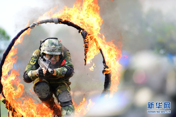 与会代表观摩海警战术训练。中国海警局供图 新华网发