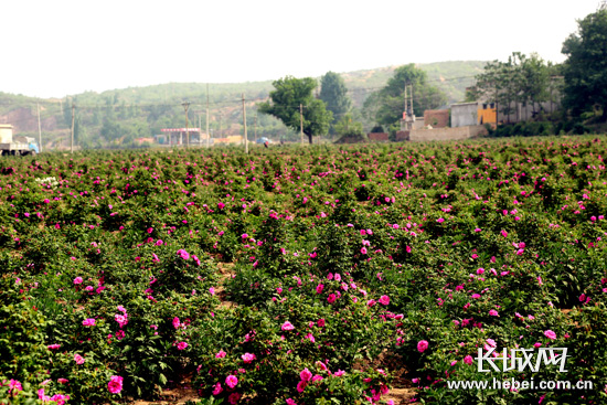 我国人均水资源_农村自建房二层_邢台市农村人均收入(2)