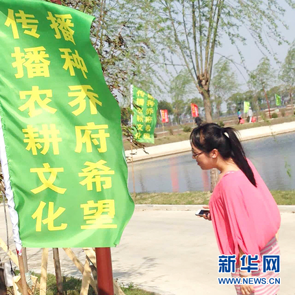 图为插秧节锦旗飘扬。