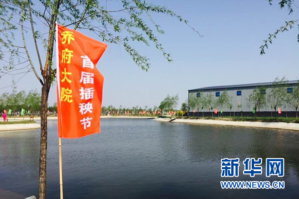 图为乔府大院首届插秧节现场。