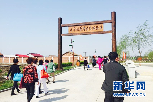 图为五常稻花香生态体验区。