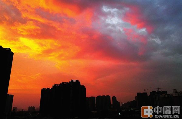 郑州晚报记者马健拍摄于郑州西区。