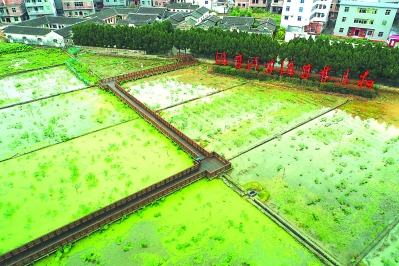 毛泽东才溪乡调查纪念馆旁，“没有调查没有发言权”几个大字熠熠生辉。本报记者 林熙 摄