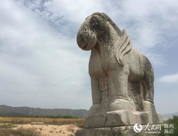 贞陵憨态可掬的石马。
