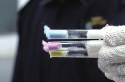 海关关员展示查获的蚂蚁。