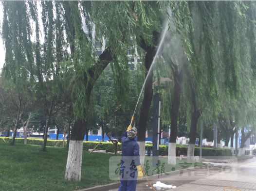 工作人员正在用水枪喷药灭虫。