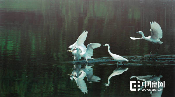 争抢美食 |王传美