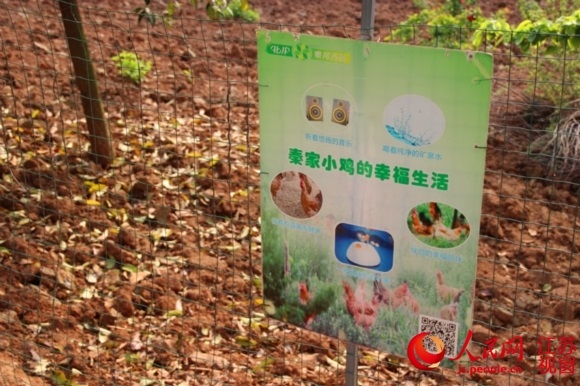 南京秦邦吉品园区一角 耿志超/摄