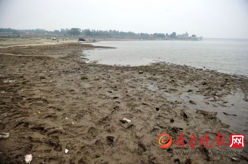 雨季未到干旱持续,游客在萌山水库库底遛狗捞
