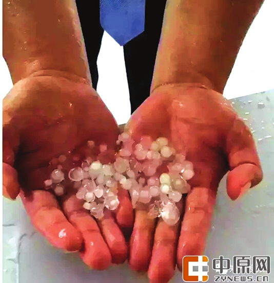 网友晒东区的冰雹