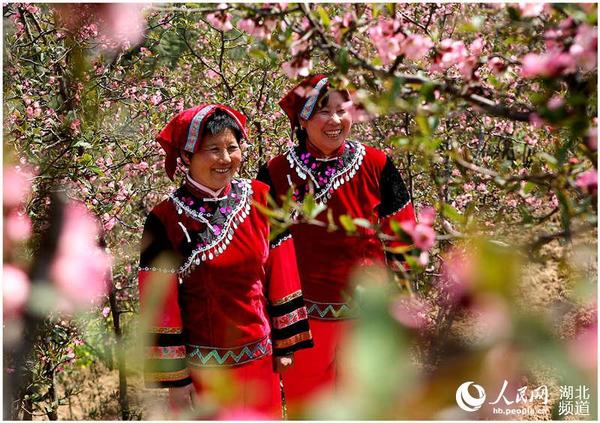 土家山歌手在马坪木瓜花园喊山歌