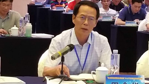 图为公安部发展战略研究所执行所长田全华发言。