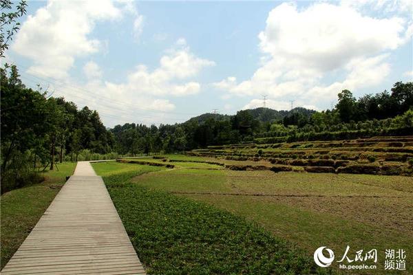 行走在观光栈道上体验当年唐崖土司城的规模宏大。