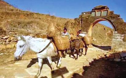 茶马互市主要衰亡在清朝。