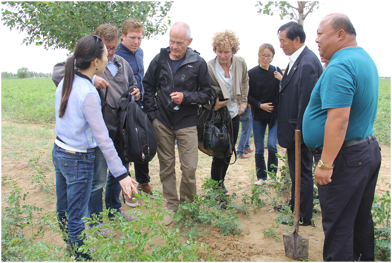 　　科学家考察团考察陈红湾沙漠节水农业示范区