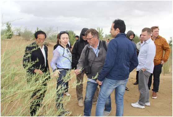 　　科学家考察团考察沙漠腹地生态修复区